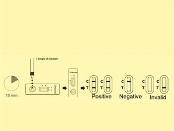 Chlamidijų testas, 20 vnt. - Image 2