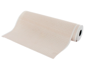 EKG terminis popierius 210x30 mm