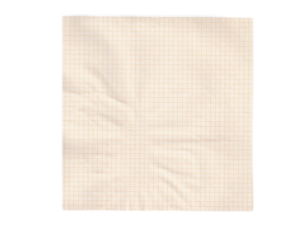 EKG terminis popierius 215x25 mm, ritinėlis